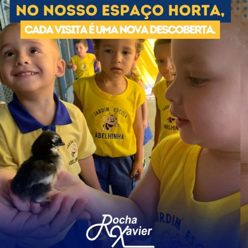 Melhor escola em São gonçalo